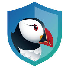 Puffin Secure Browser